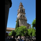 Der Glockenturm vom Garten der Moschee-Kathedrale aus betrachtet